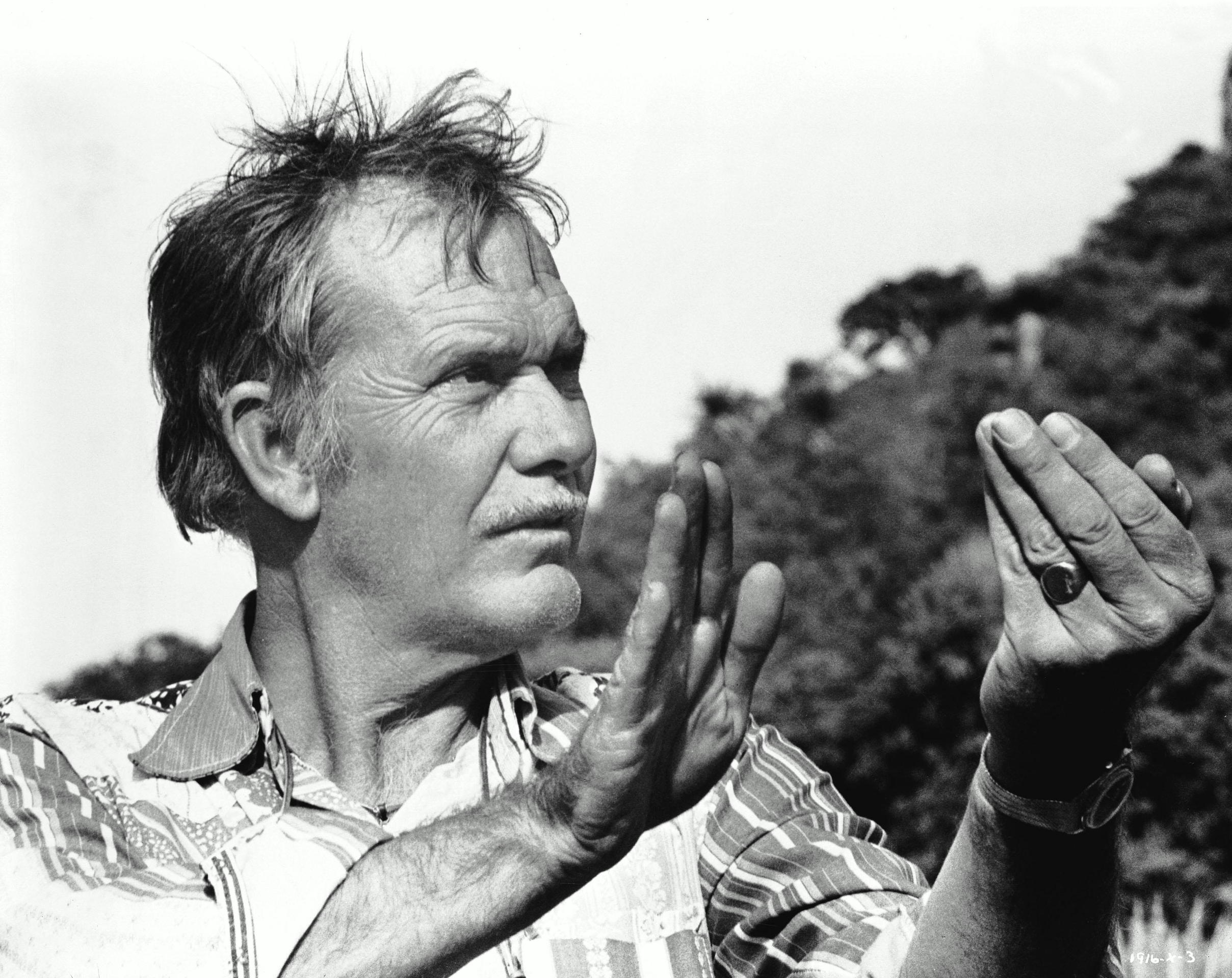 萨姆·佩金帕的写真