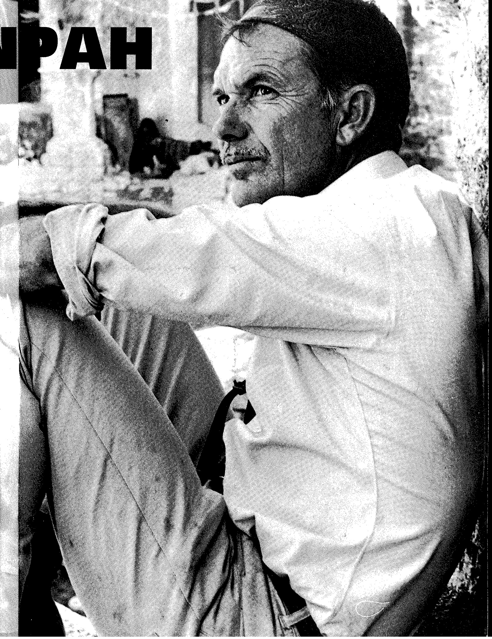 萨姆·佩金帕的写真