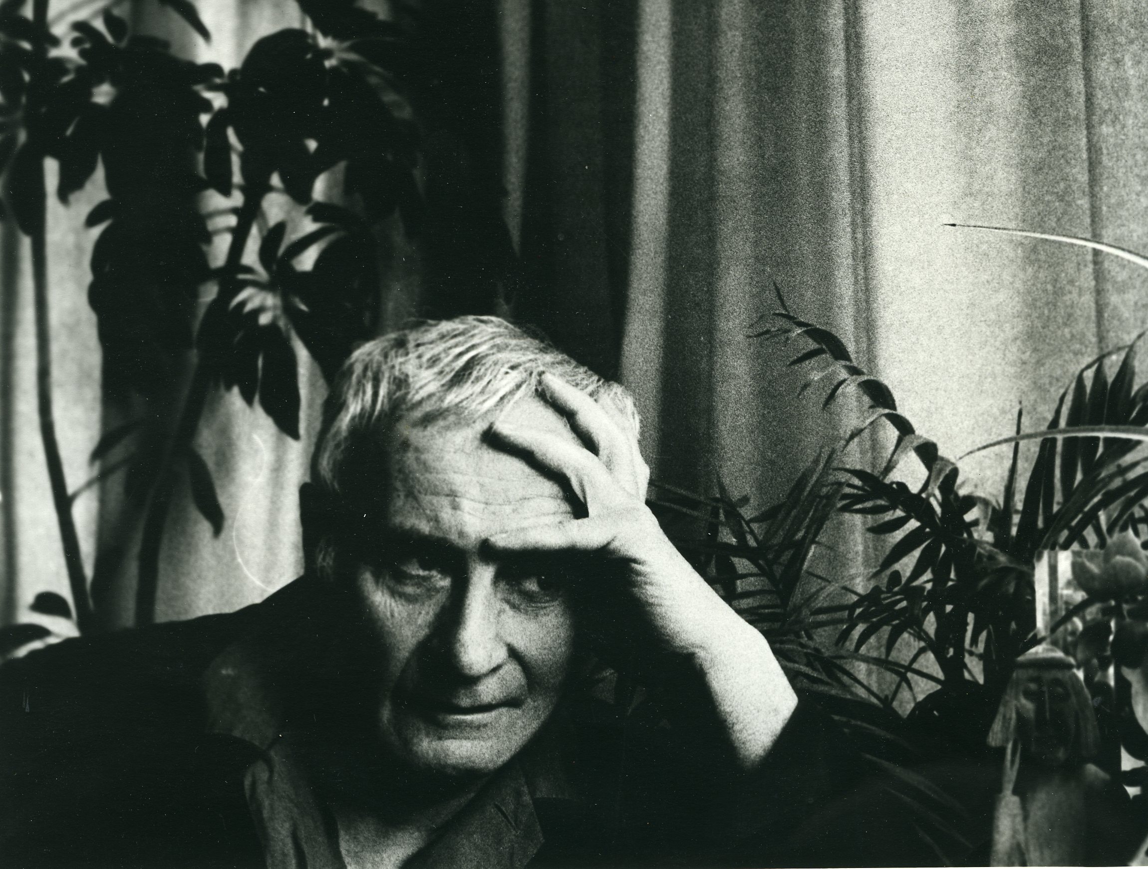 林赛·安德森的写真