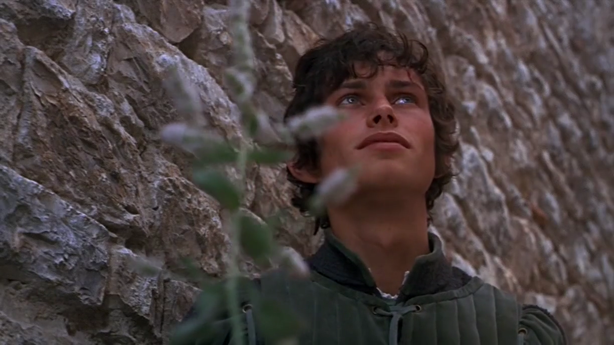 布鲁斯·罗宾逊的写真