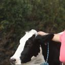 梅尔·罗德里格斯