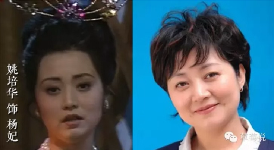 姚培华的写真-90版《封神榜》饰 杨...