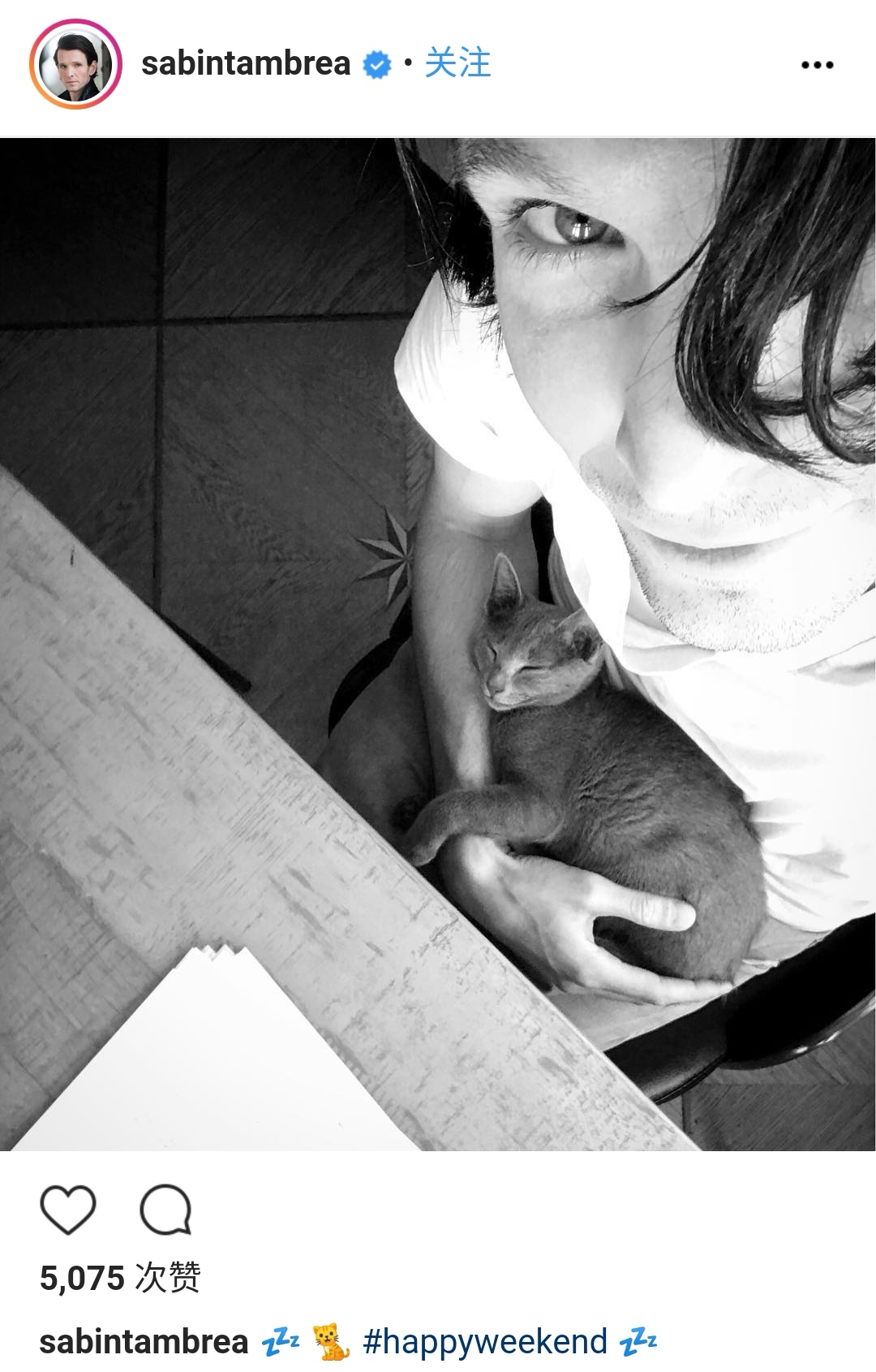 萨宾·塔布瑞亚的写真