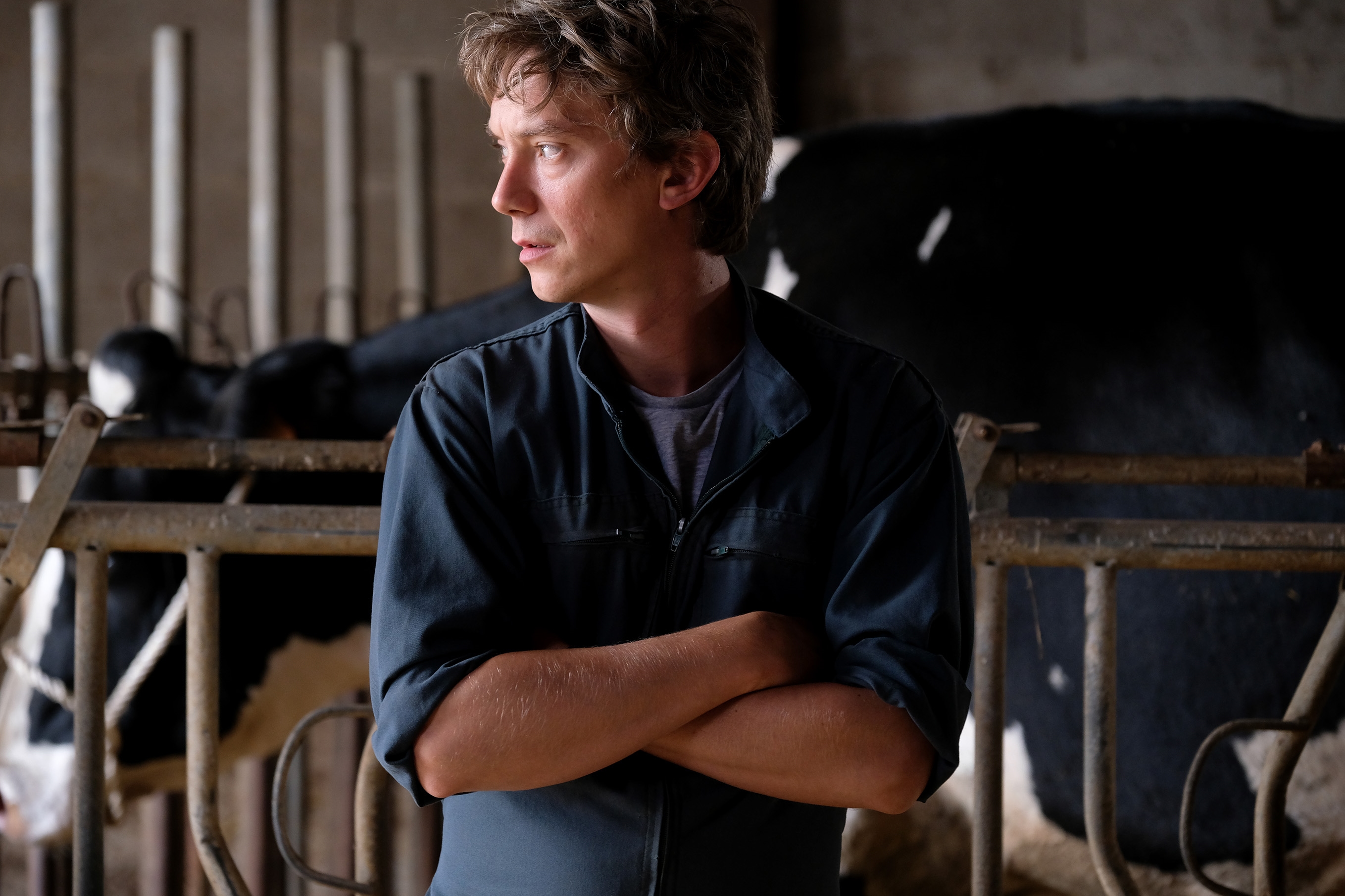 斯万·阿劳德的写真