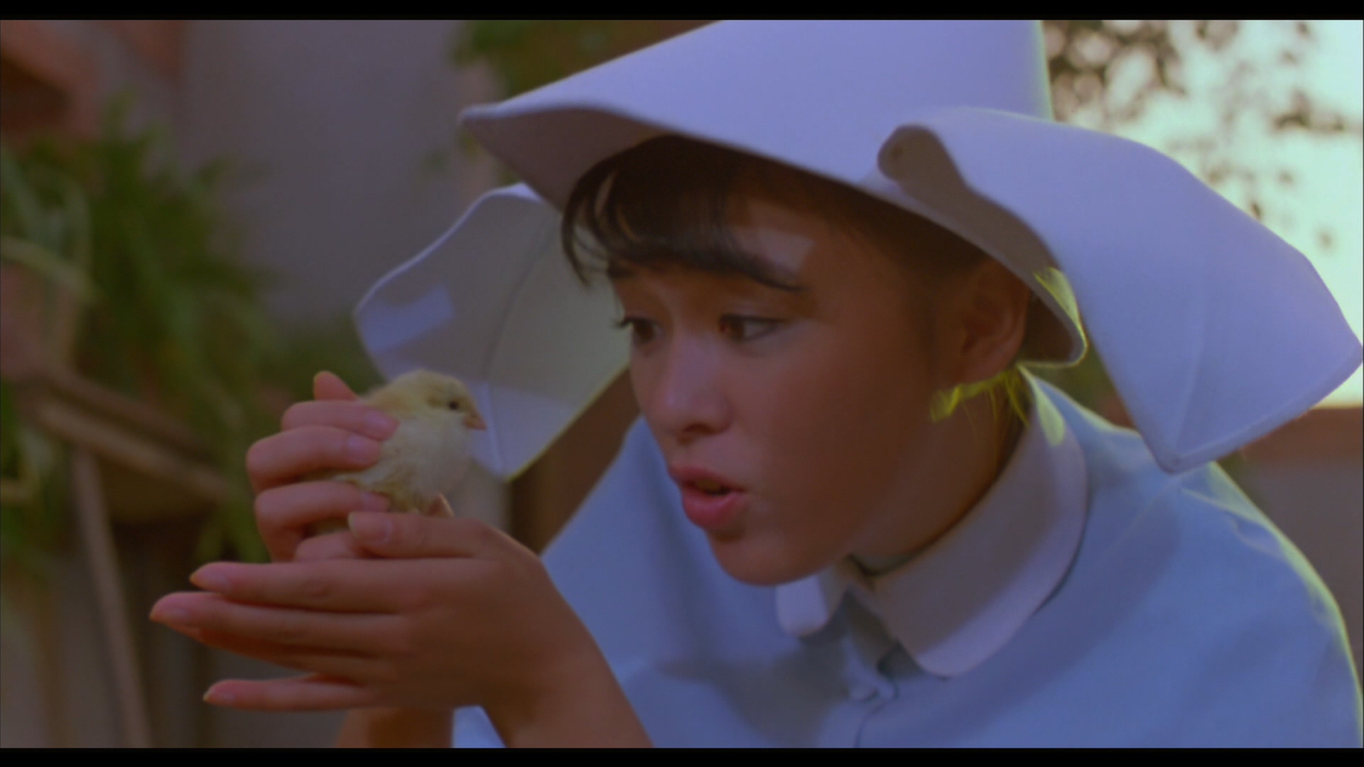 简慧真的写真-《一眉道人》