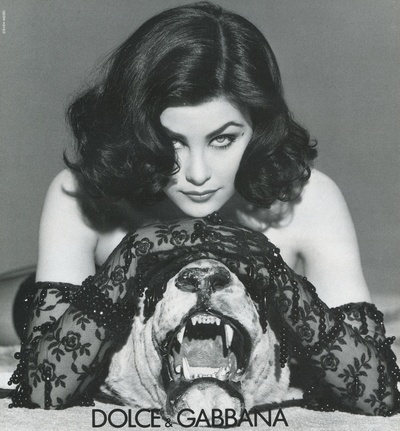 雪琳·芬的写真