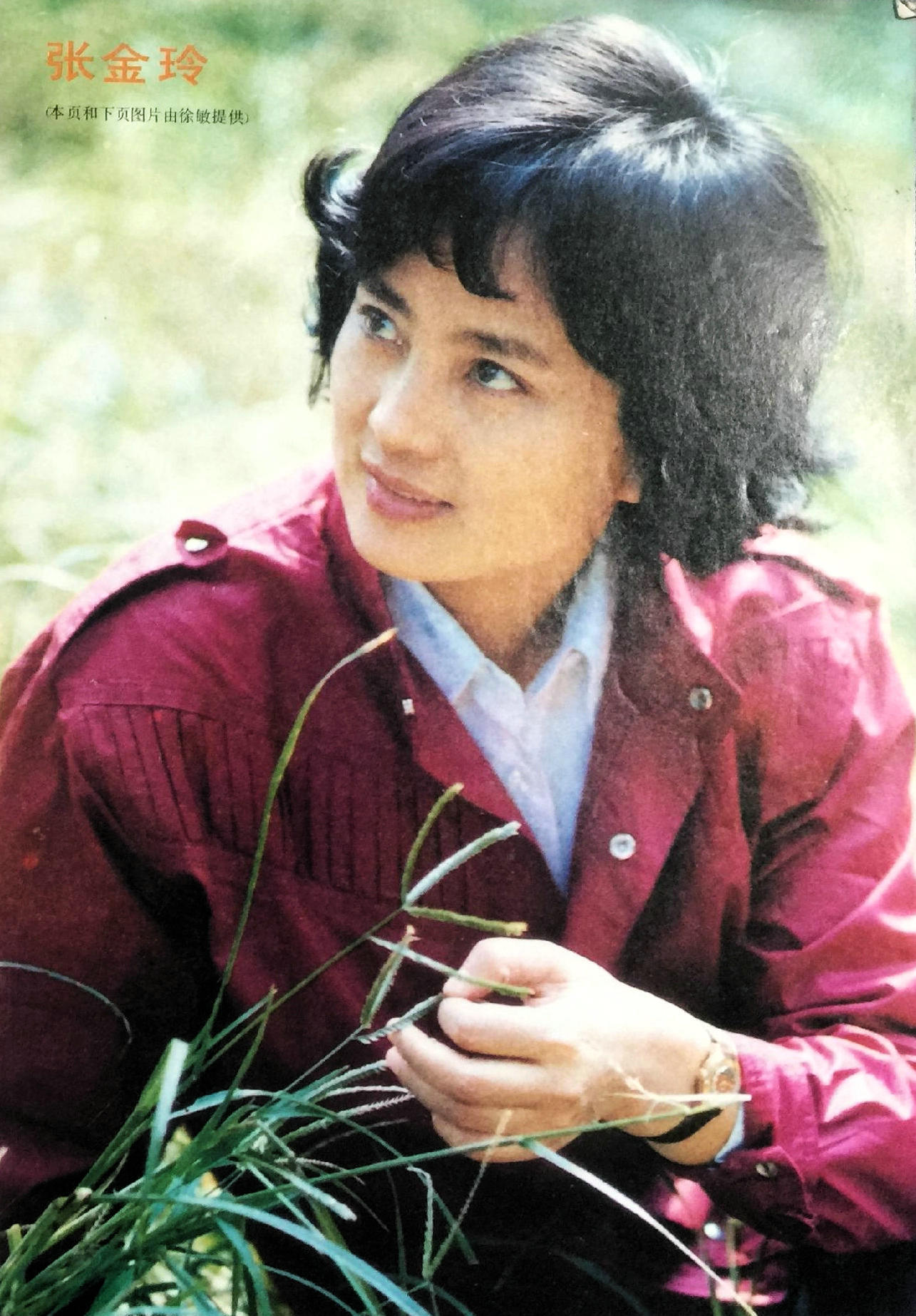 张金玲的写真