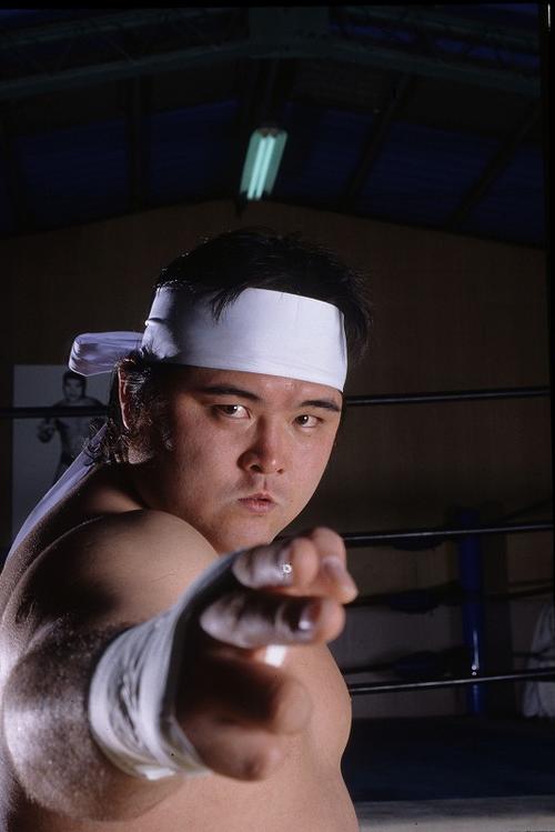 桥本真也的写真