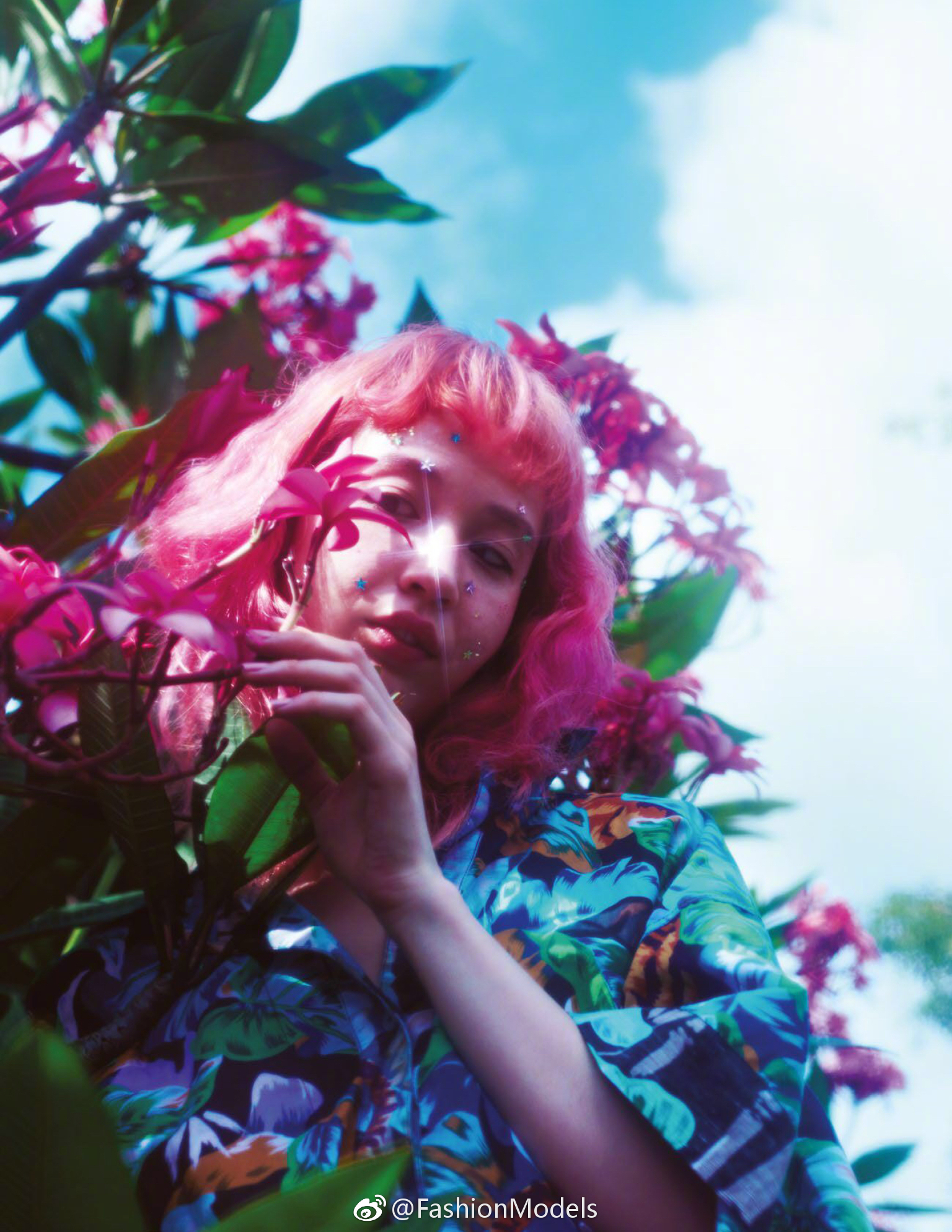 水原佑果的写真