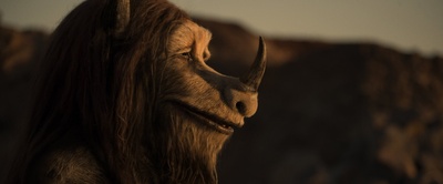 尼克·法内尔的写真