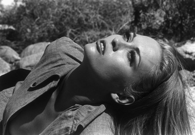 费·唐纳薇的写真