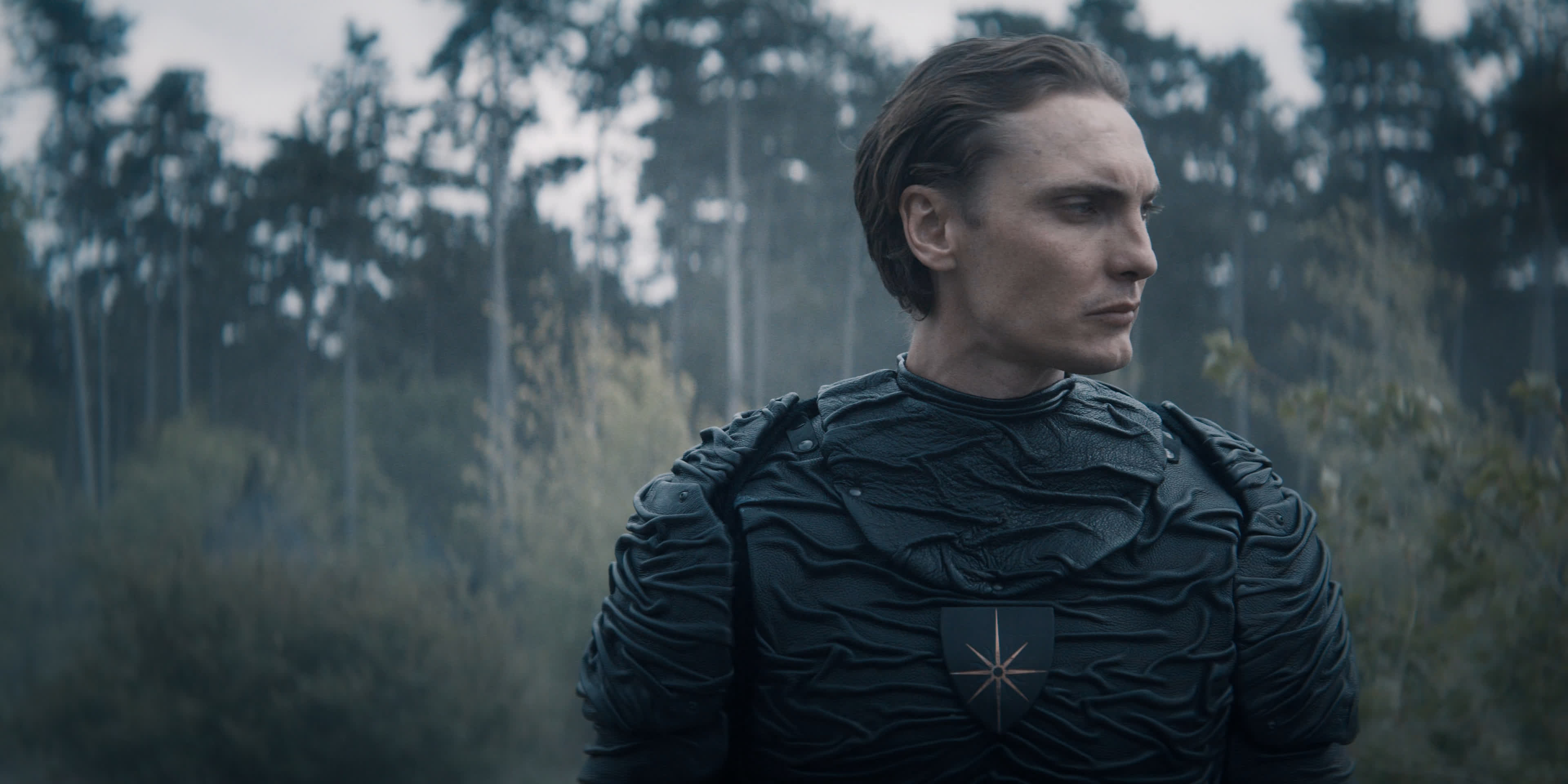 埃蒙·法伦的写真-the witcher s01e08