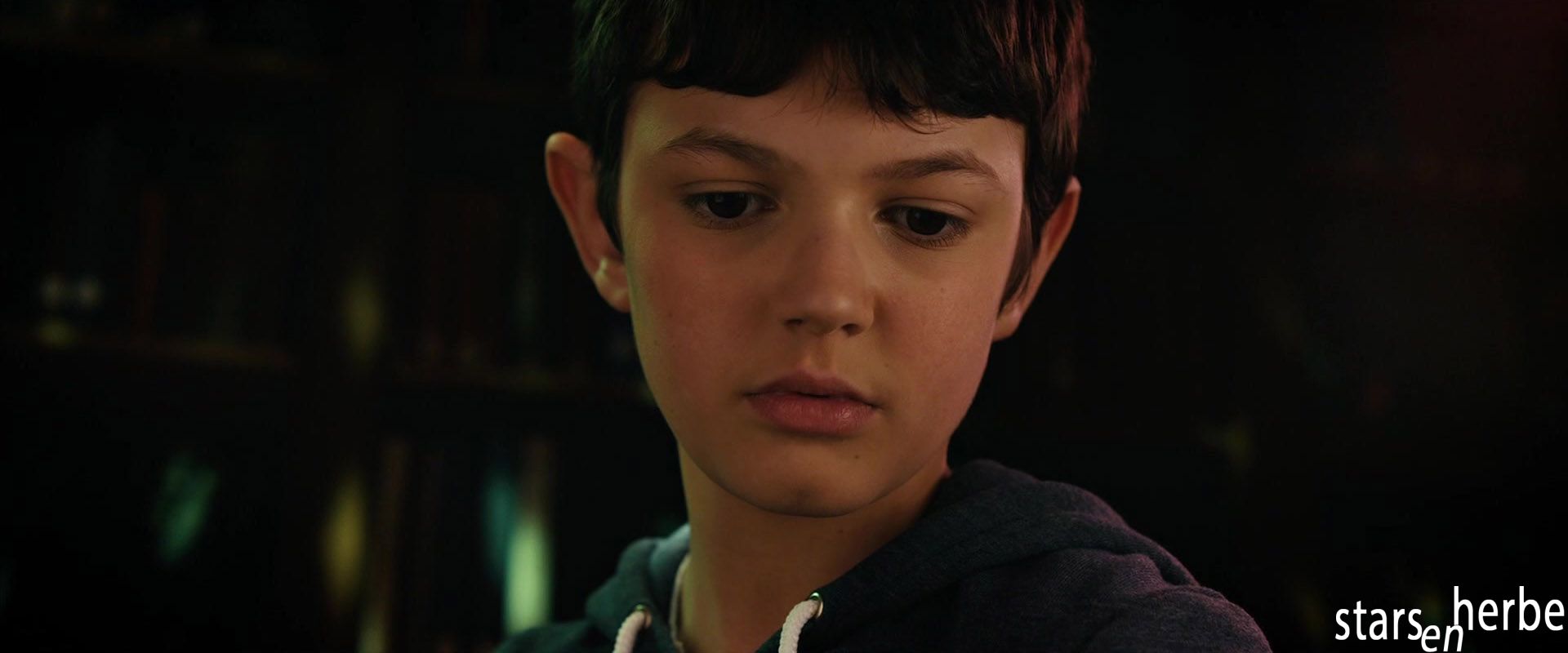 赖恩·布罗迪的写真