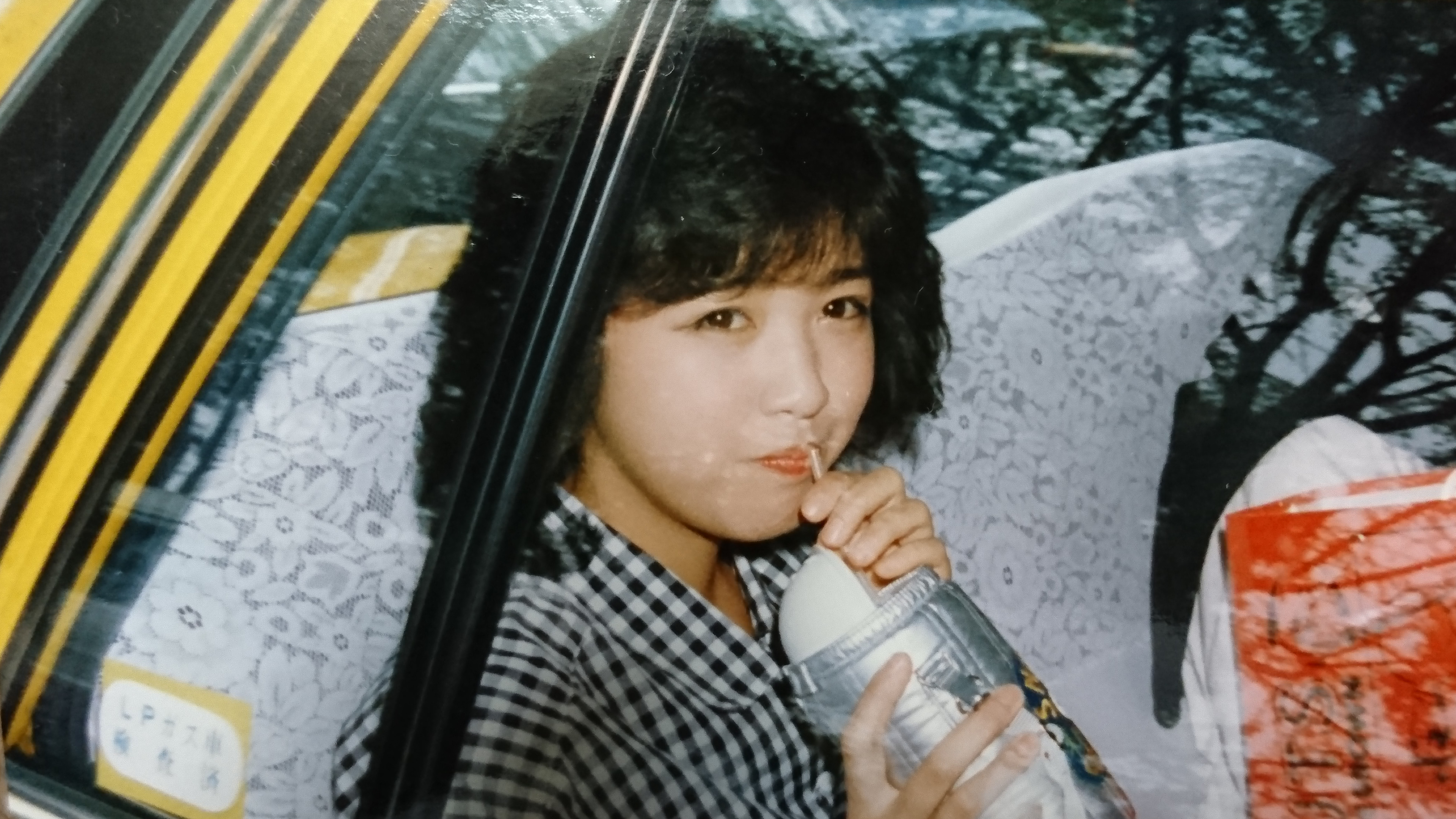 菊池桃子的写真