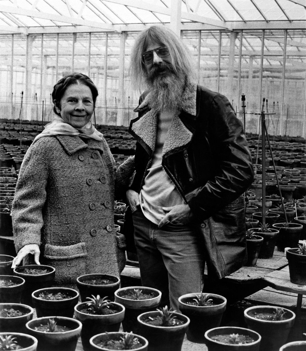 哈尔·阿什贝的写真