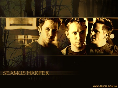 戈登·迈克尔·沃尔维特的写真-Seamus Harper