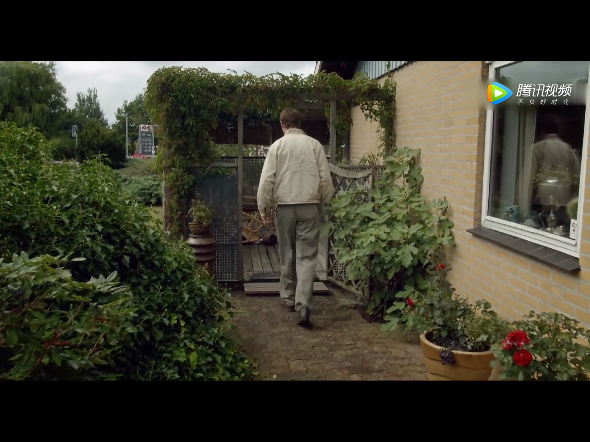 皮特·泼拉格伯格的写真