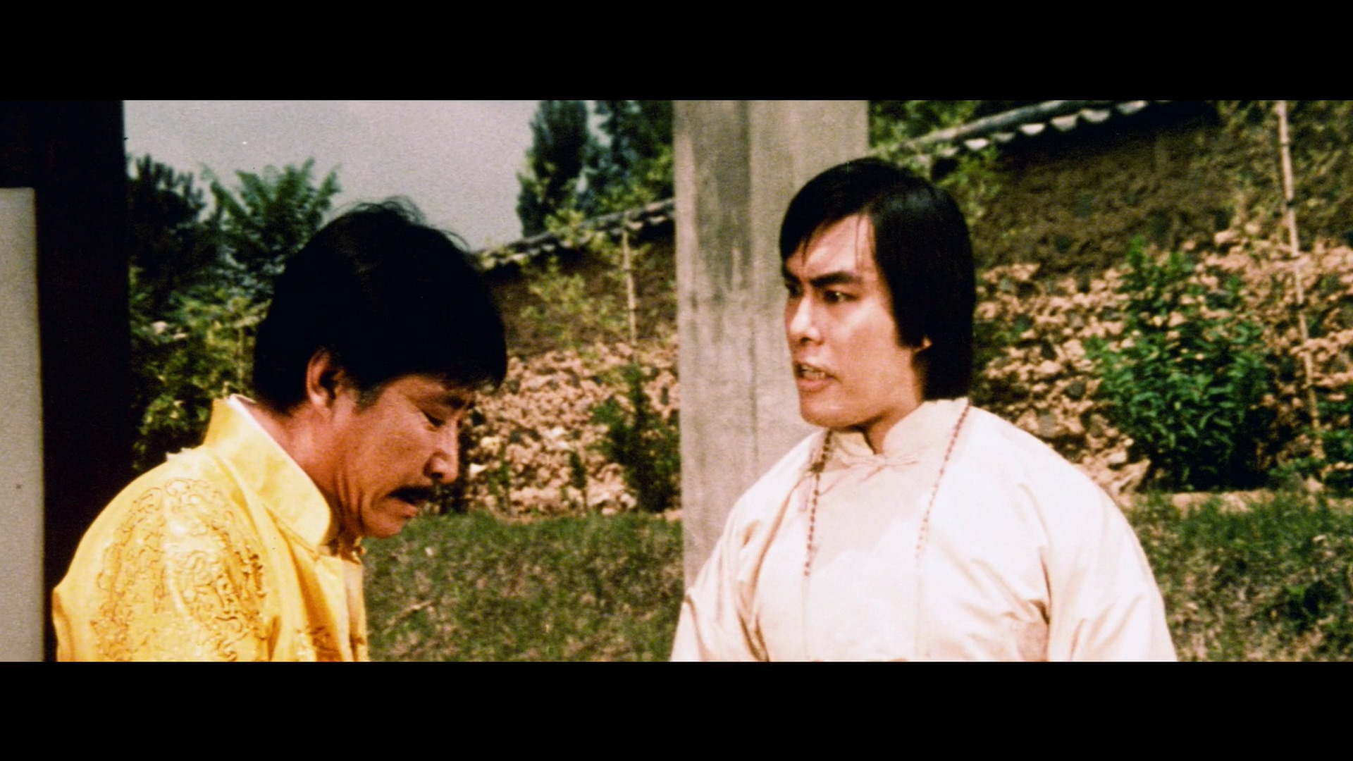 黄家达的写真-《鷹拳 / 龍形橋手》