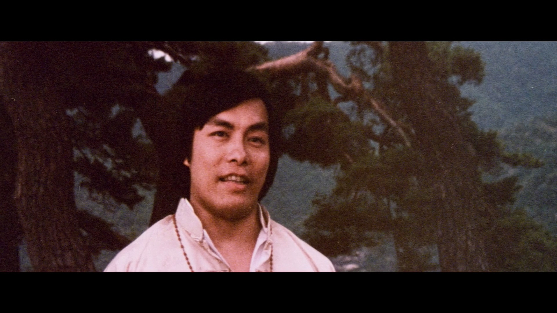 黄家达的写真-《鷹拳 / 龍形橋手》