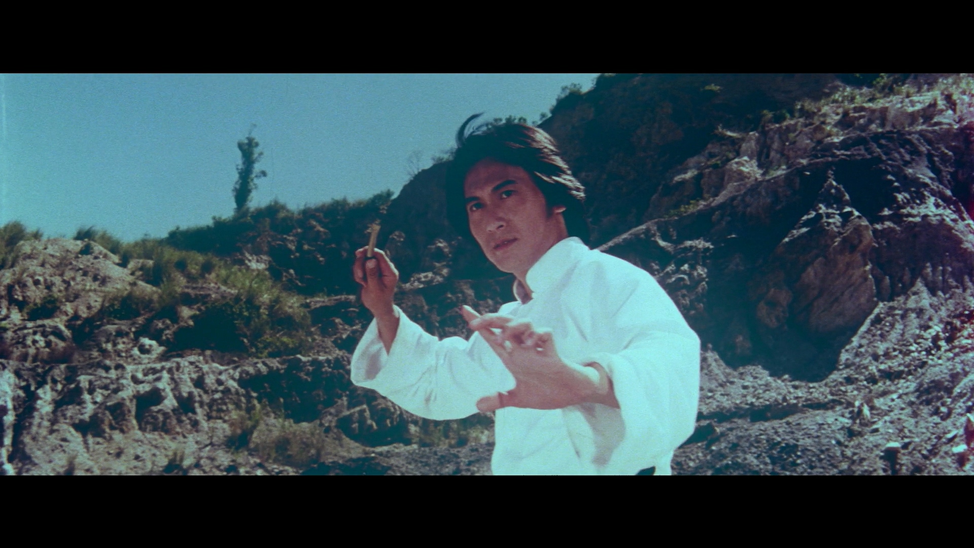 田鹏的写真-《烈日 狂風 野火》