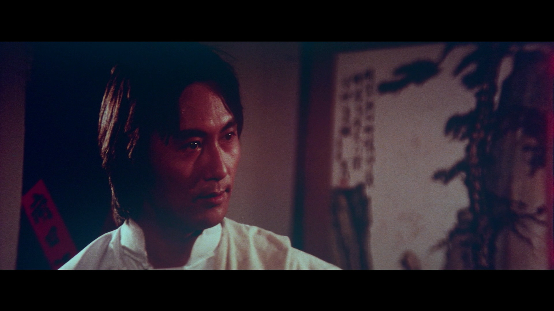 田鹏的写真-《烈日 狂風 野火》