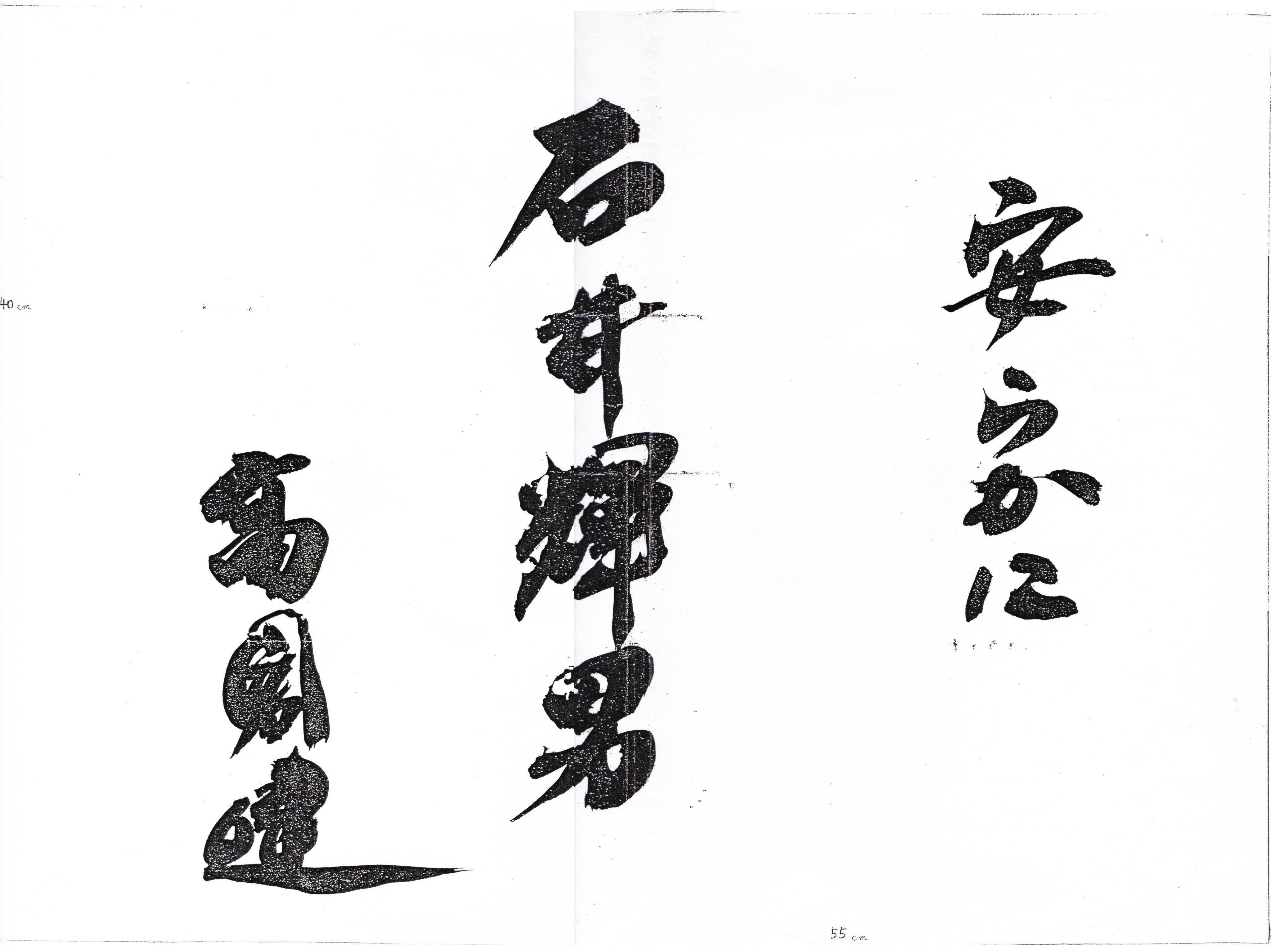 石井辉男的写真-石井辉男导演的墓碑銘...