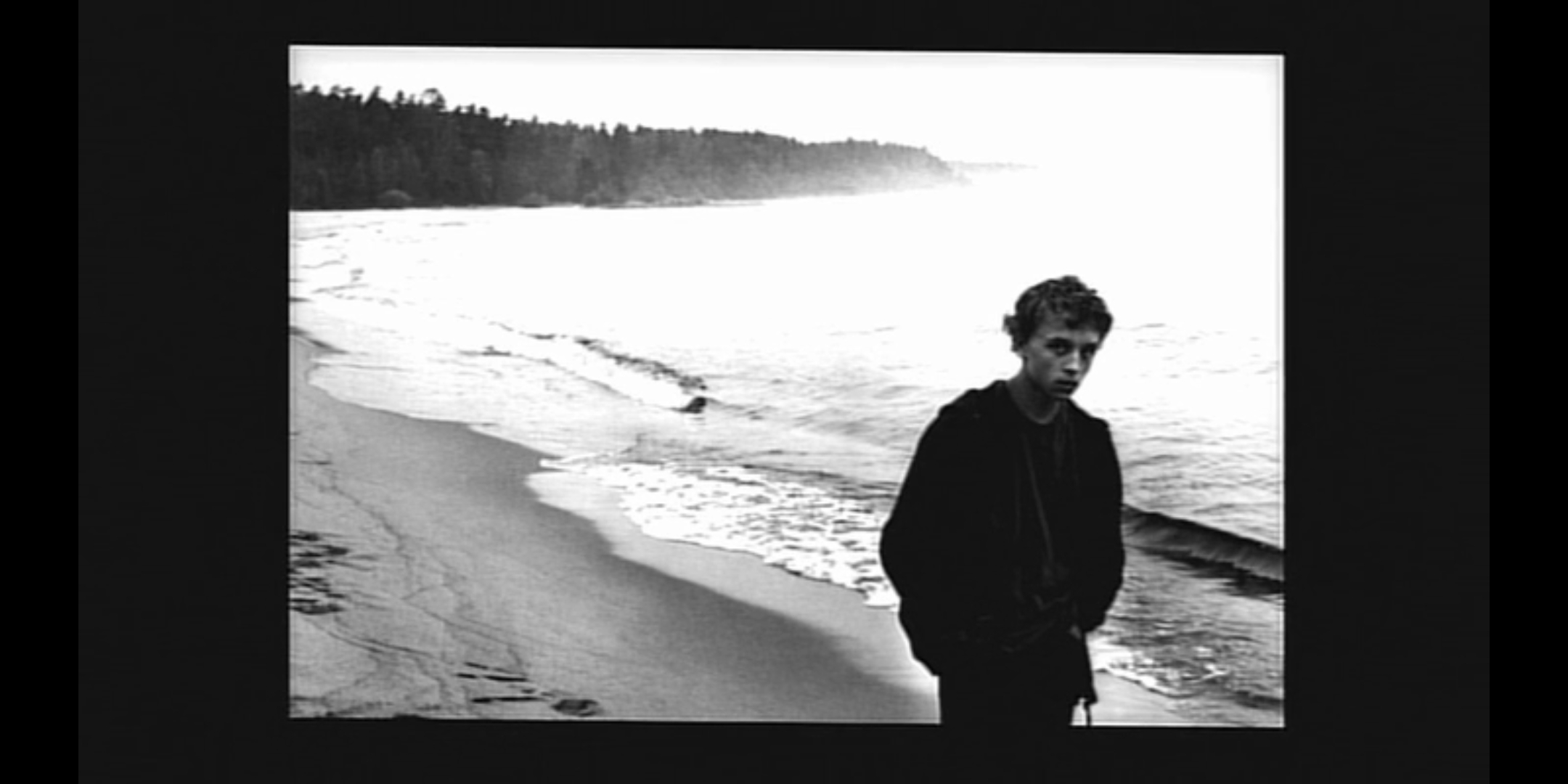 弗拉迪米尔·加林的写真