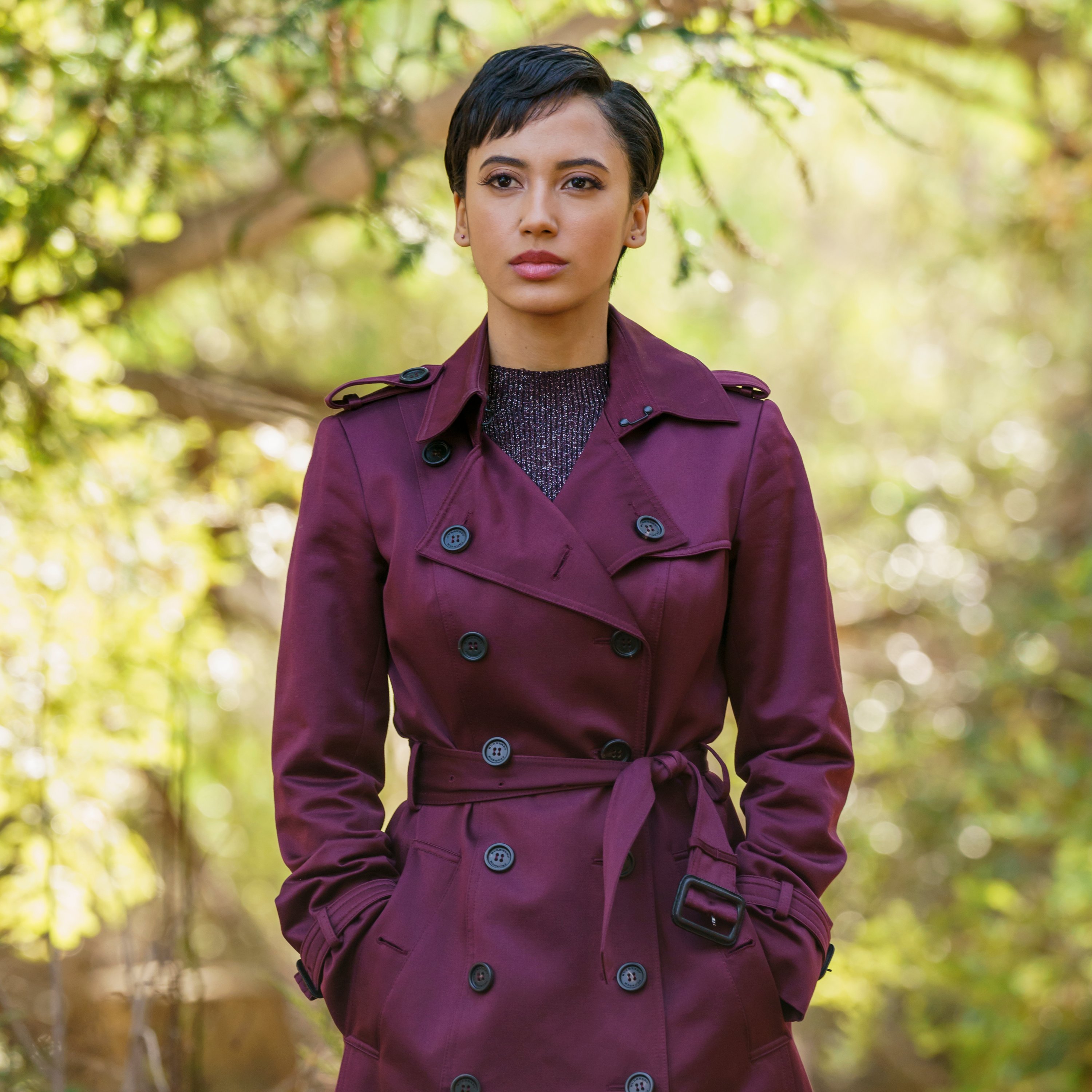 安迪·阿洛的写真