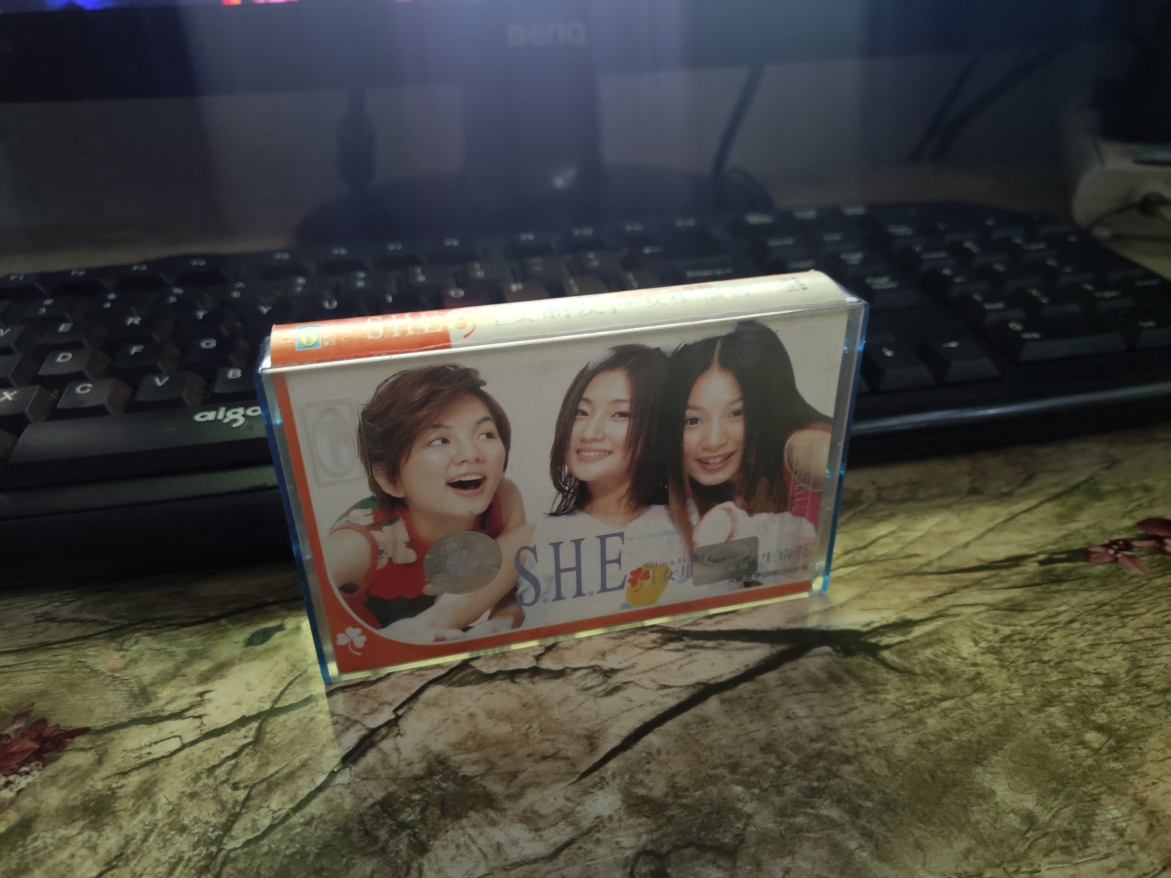 任家萱的写真-回不去的青春岁月！