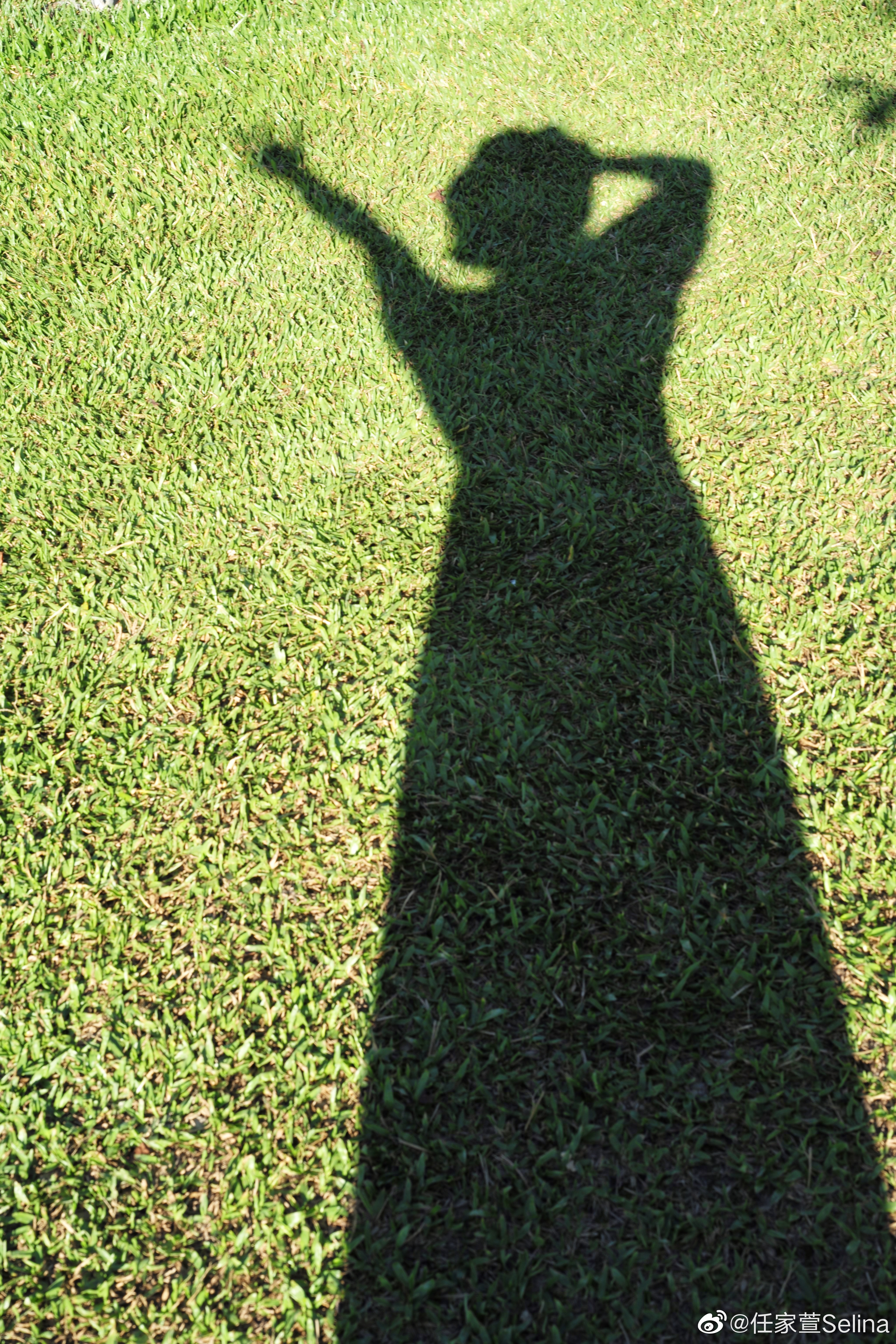 任家萱的写真-https://weibo.com/175...