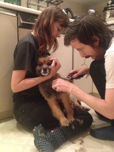 柯林·米尼汉的写真