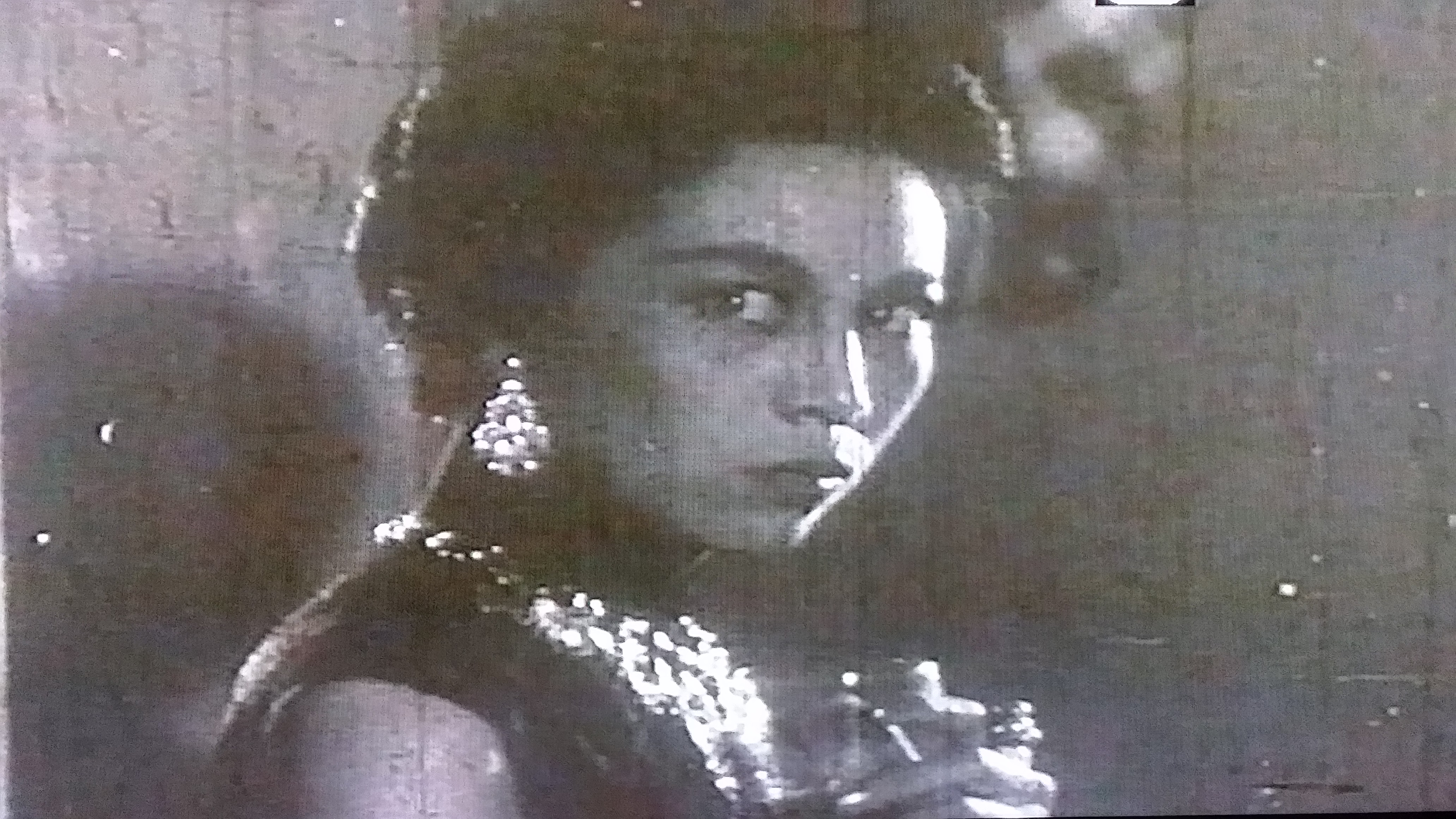 张冰茜的写真-关之琳女承母业。