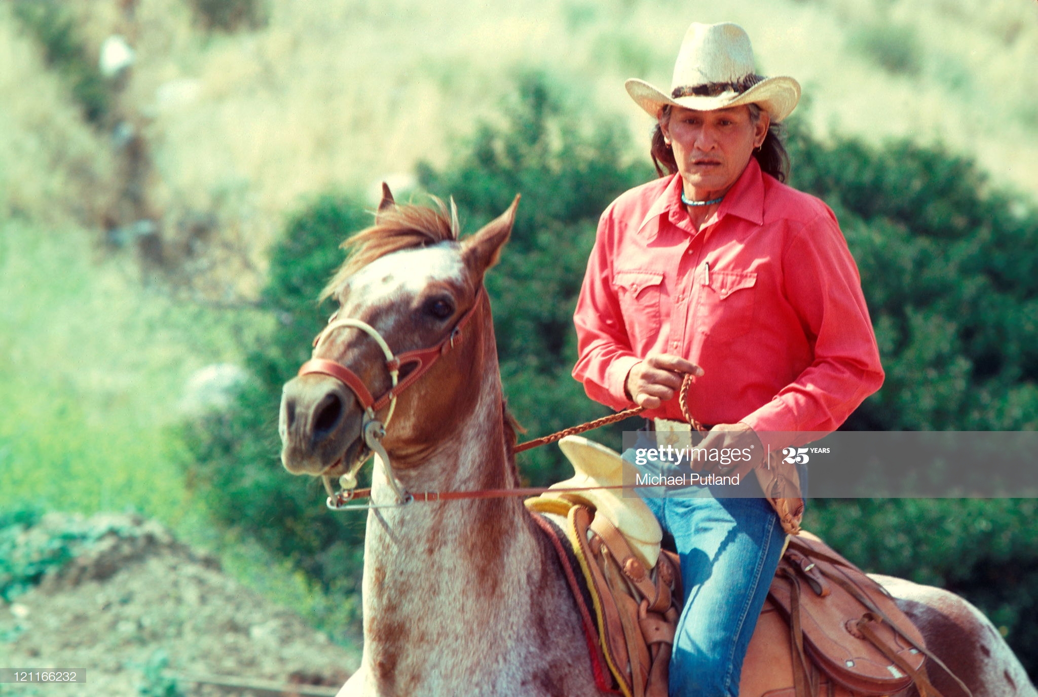 威尔·萨姆森的写真