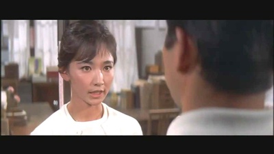 芦川泉的写真-绿色的山脉 芦川泉