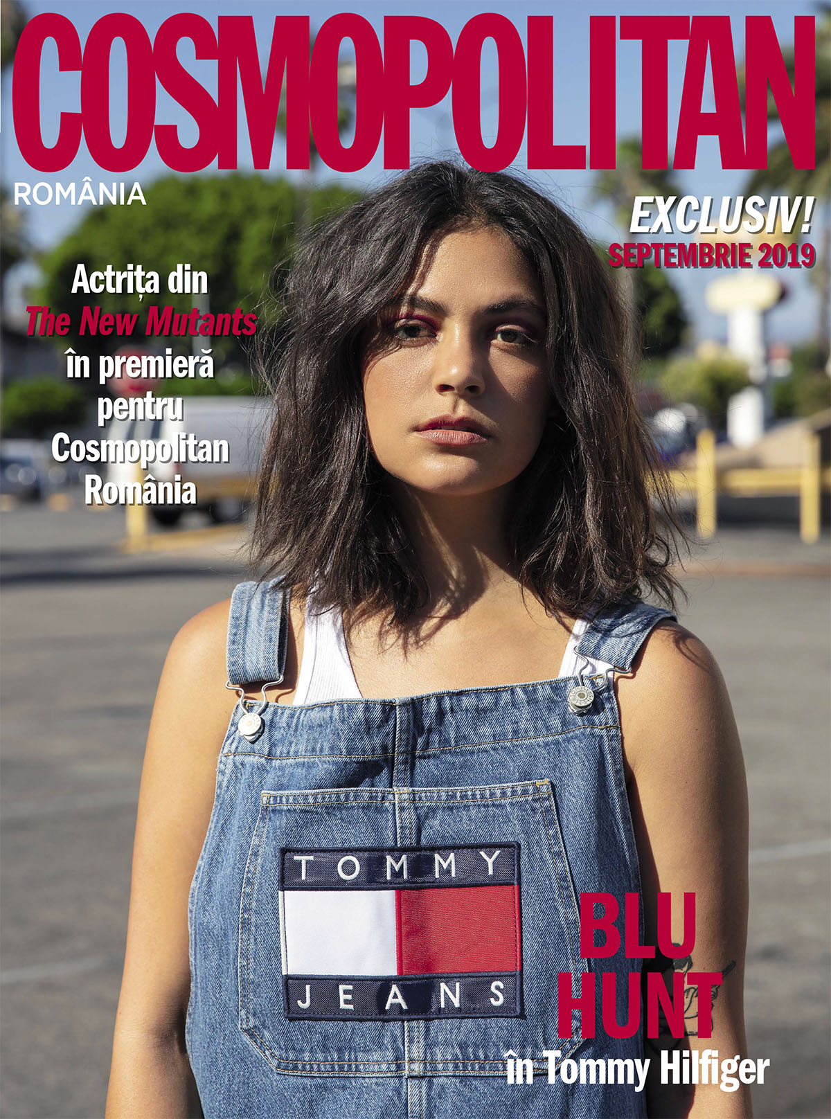 布鲁·亨特的写真