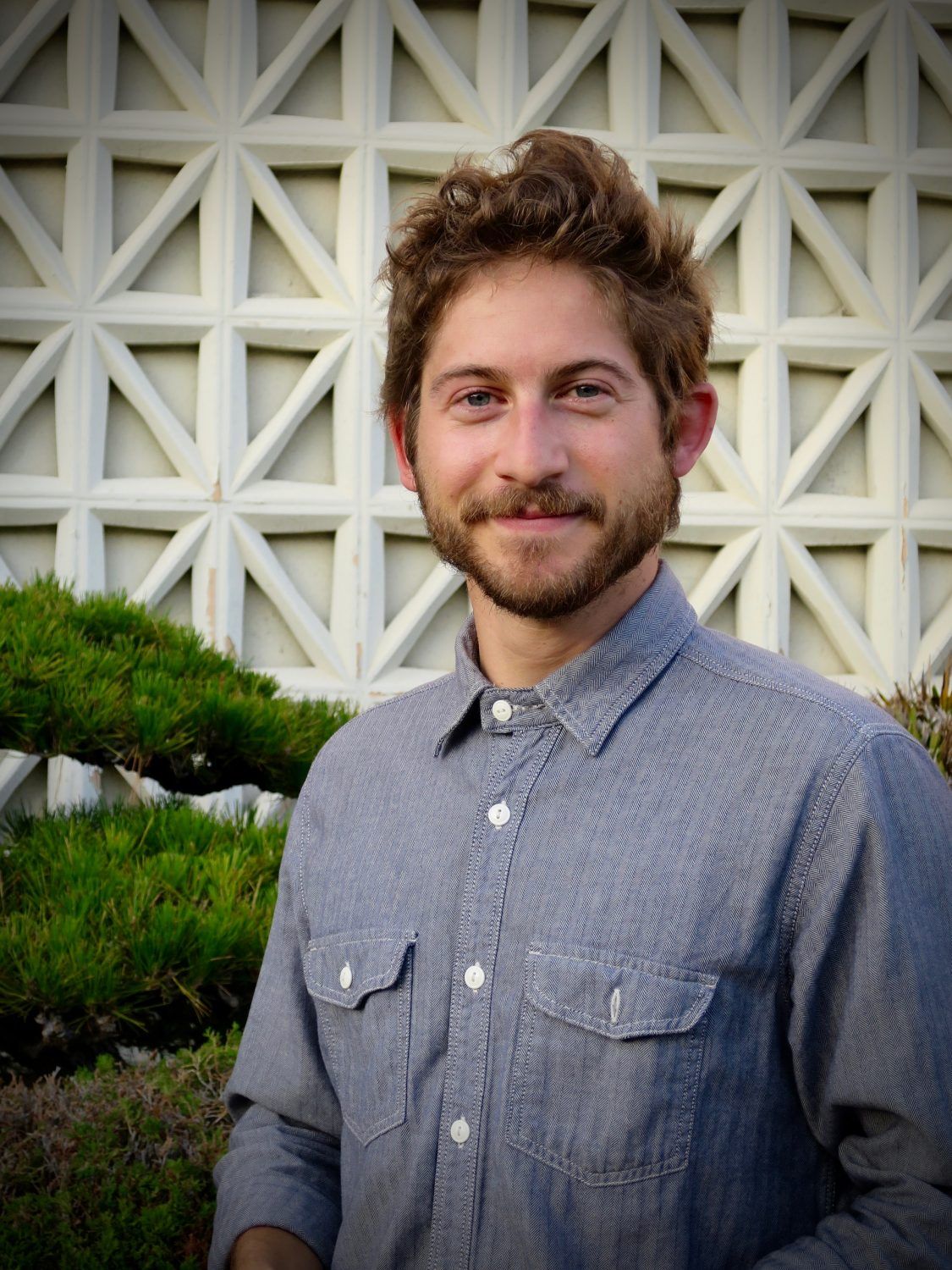 亚历克斯·D·林兹的写真