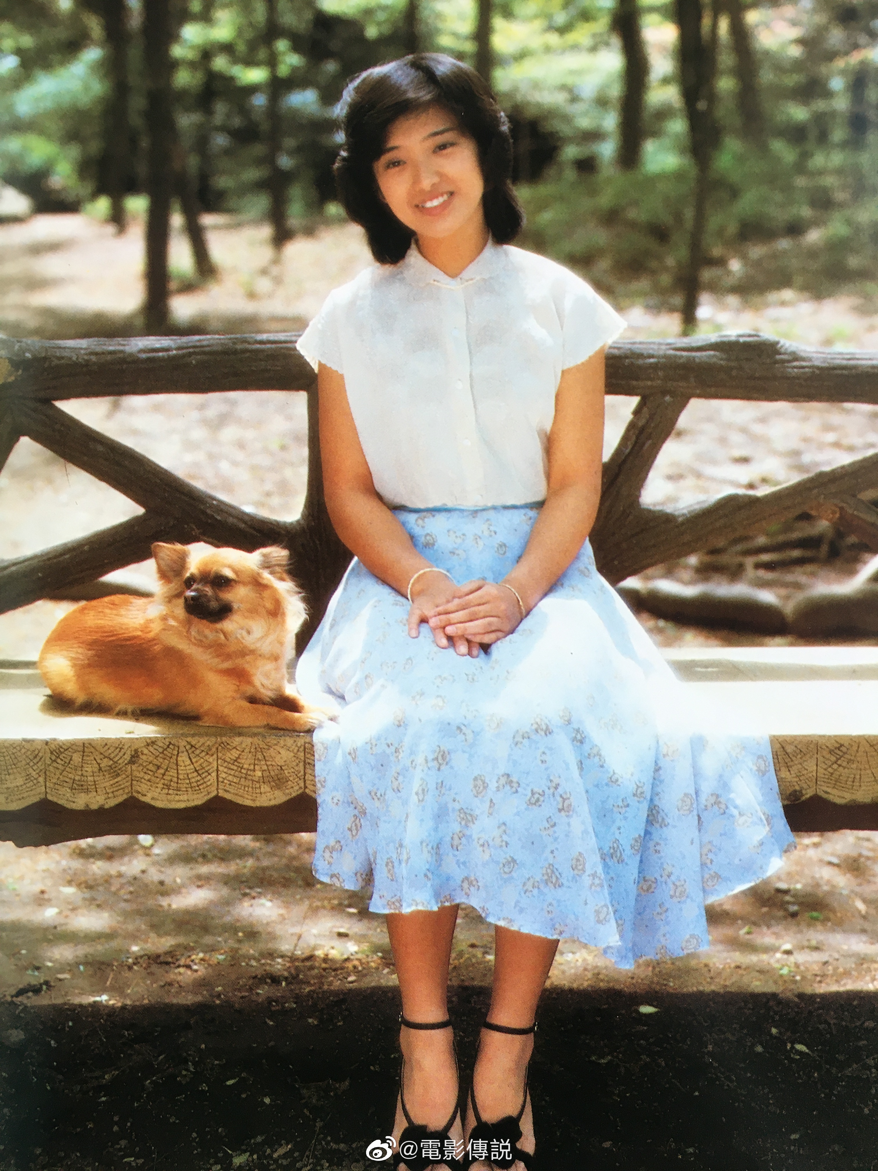 山口百惠的写真-https://weibo.com/262...