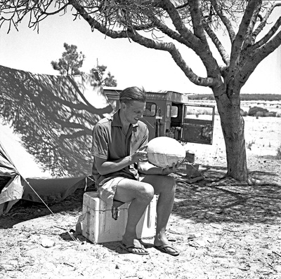 戴维·阿滕伯勒的写真