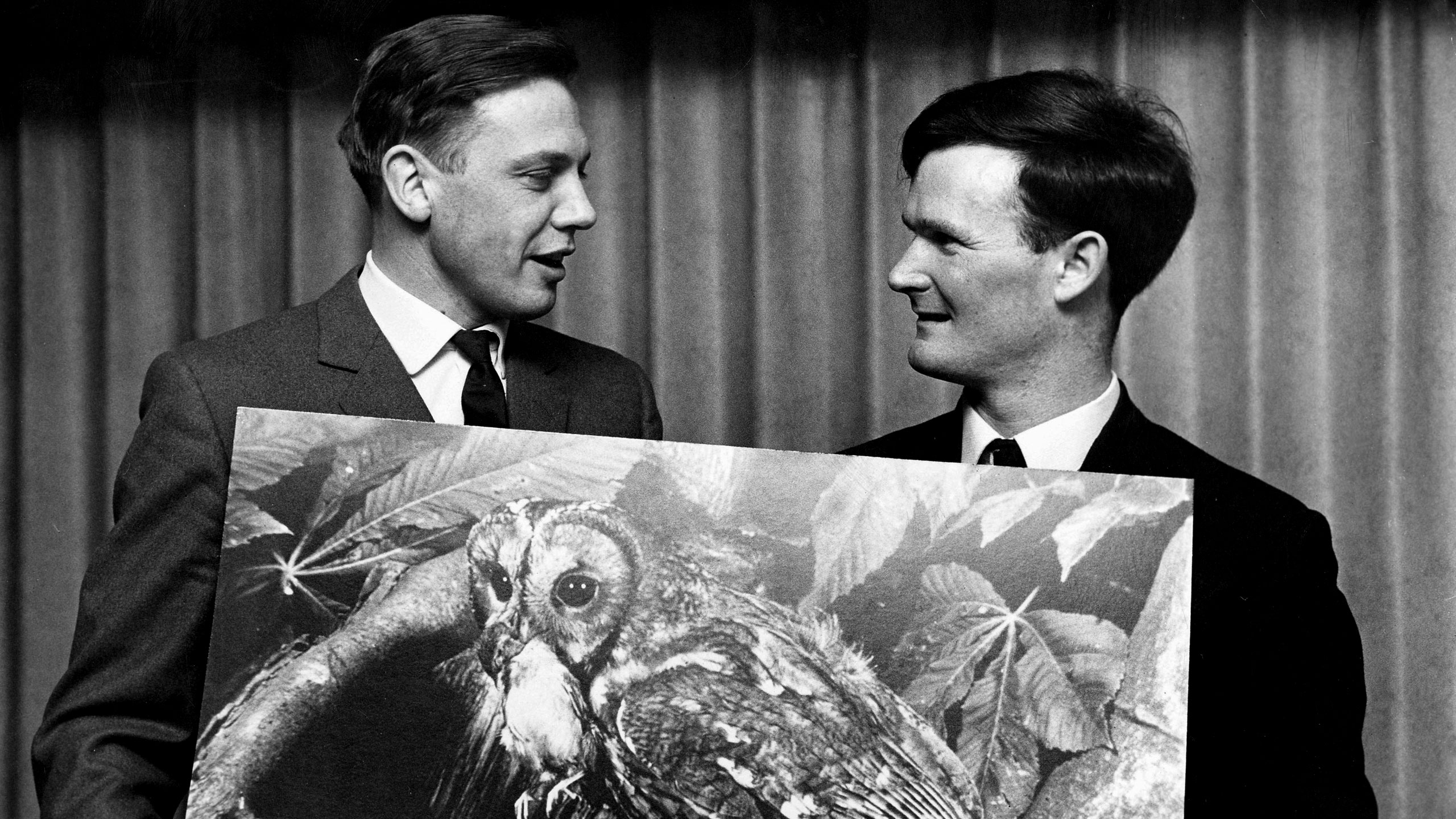 戴维·阿滕伯勒的写真