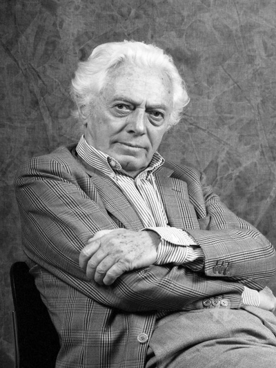 迪诺·里西的写真