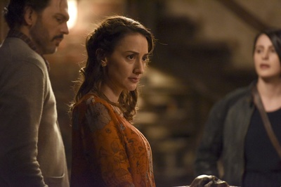 布丽·特纳的写真-《格林》狐狸姐姐MV5...