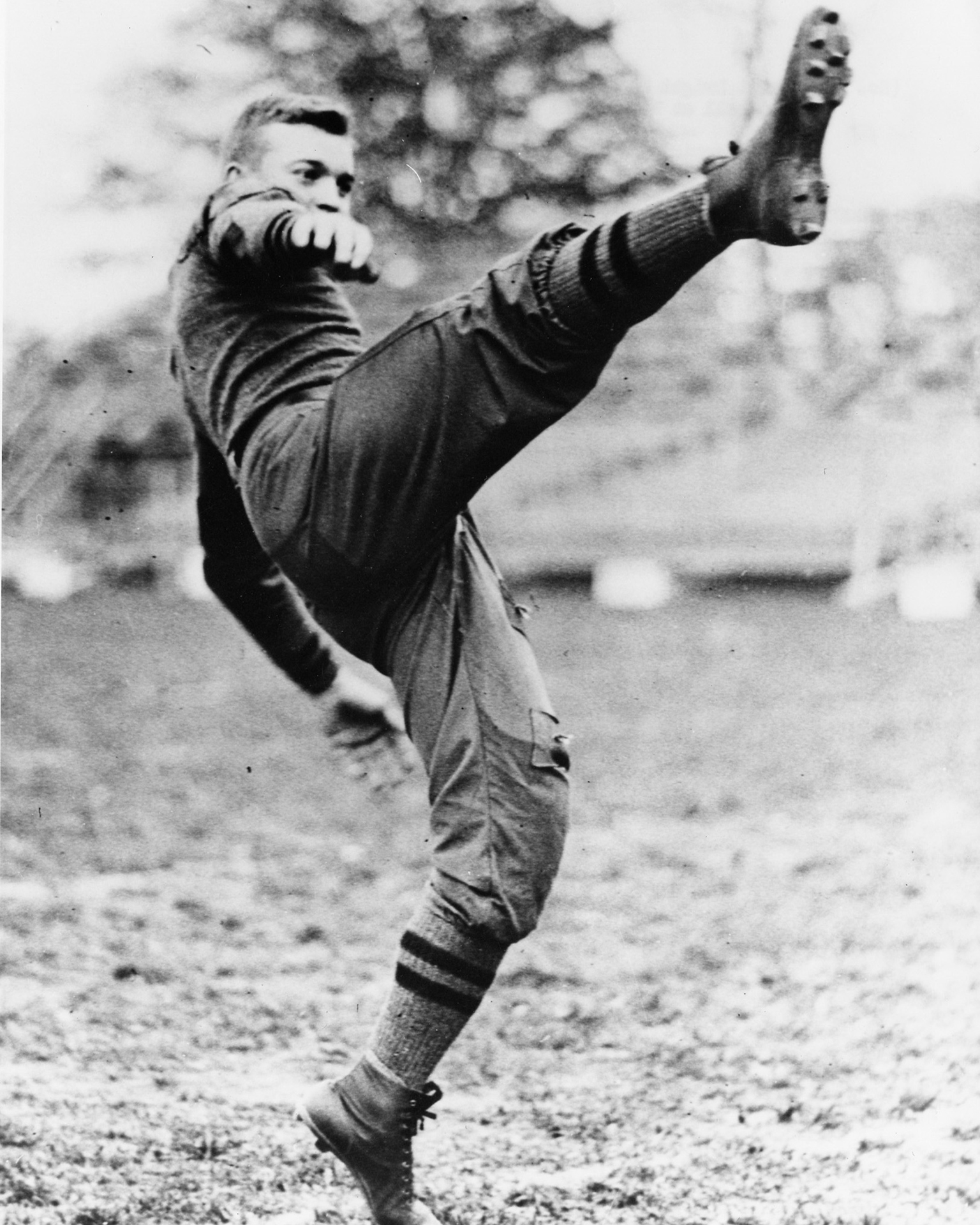 德怀特·戴维·艾森豪威尔的写真