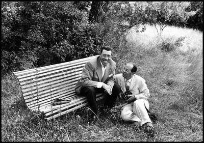 费南代尔的写真