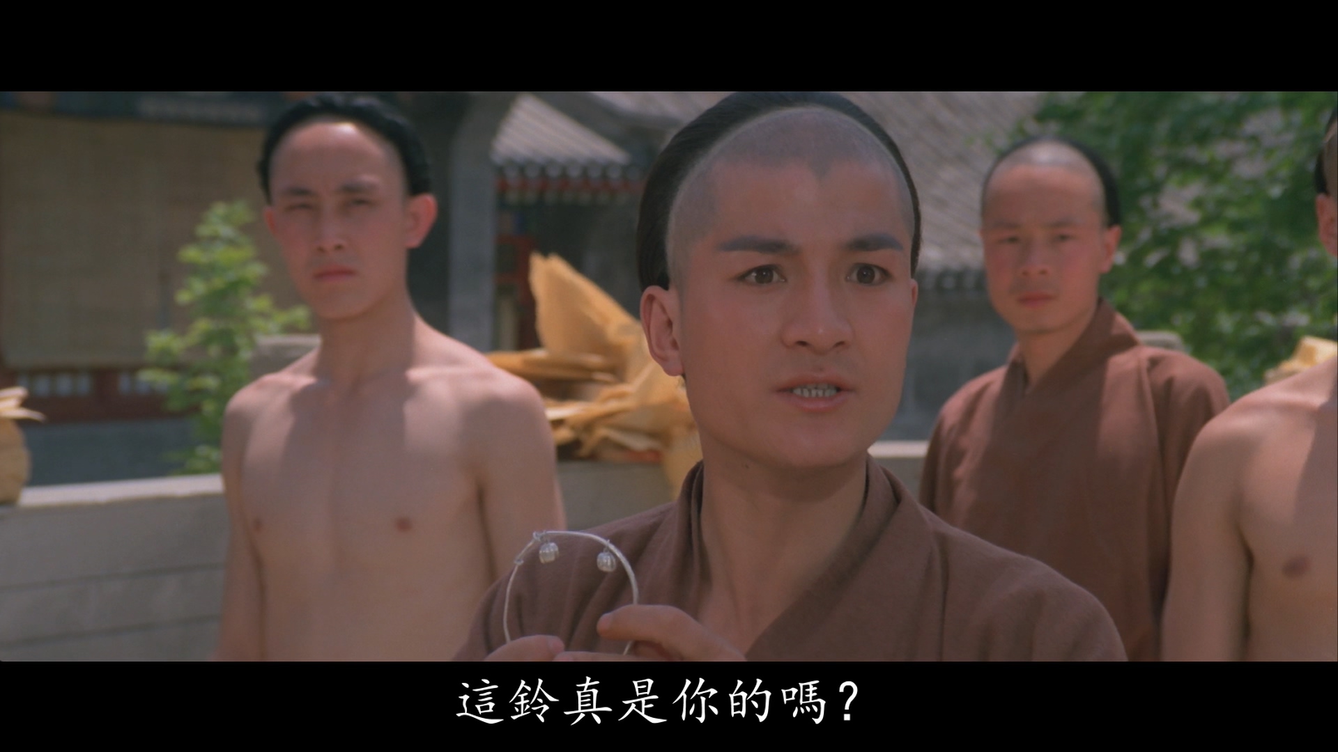 胡坚强的写真-《南北少林》