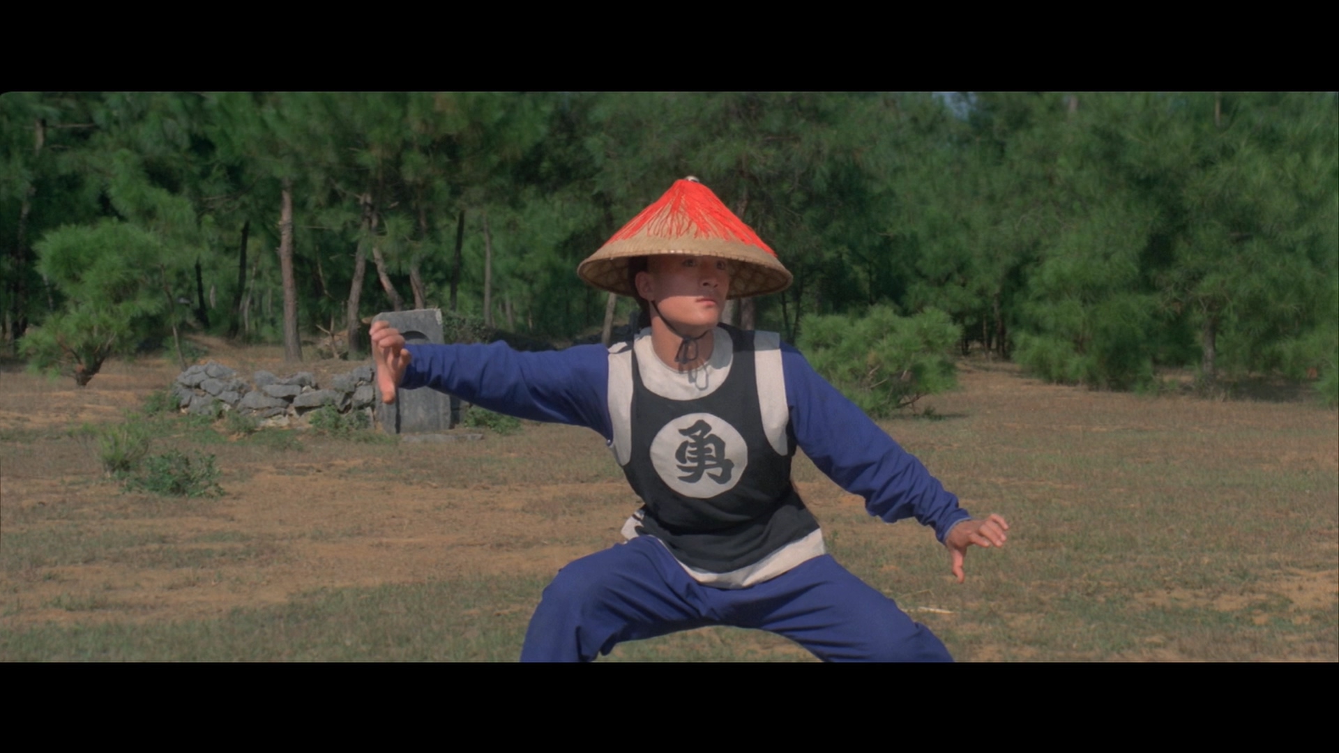 胡坚强的写真-《南北少林》