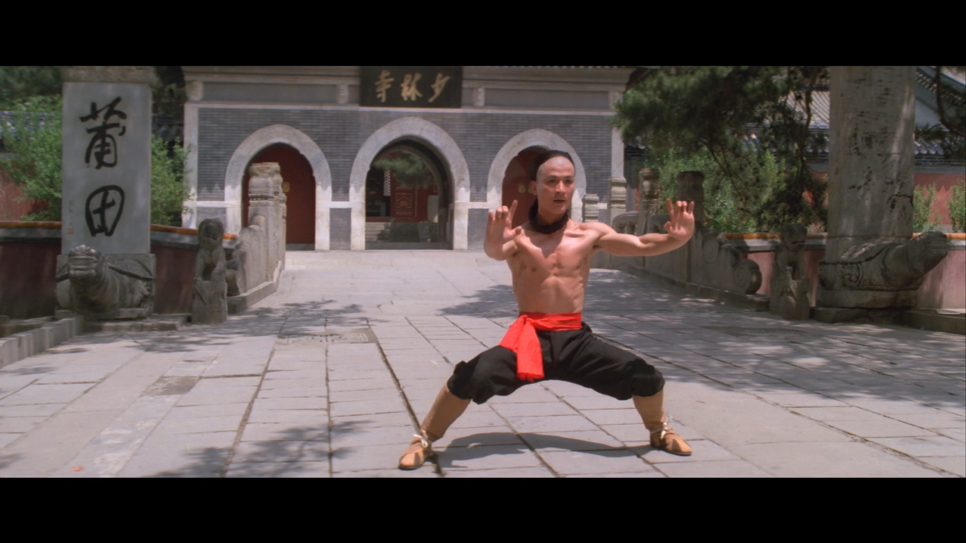 胡坚强的写真-《南北少林》