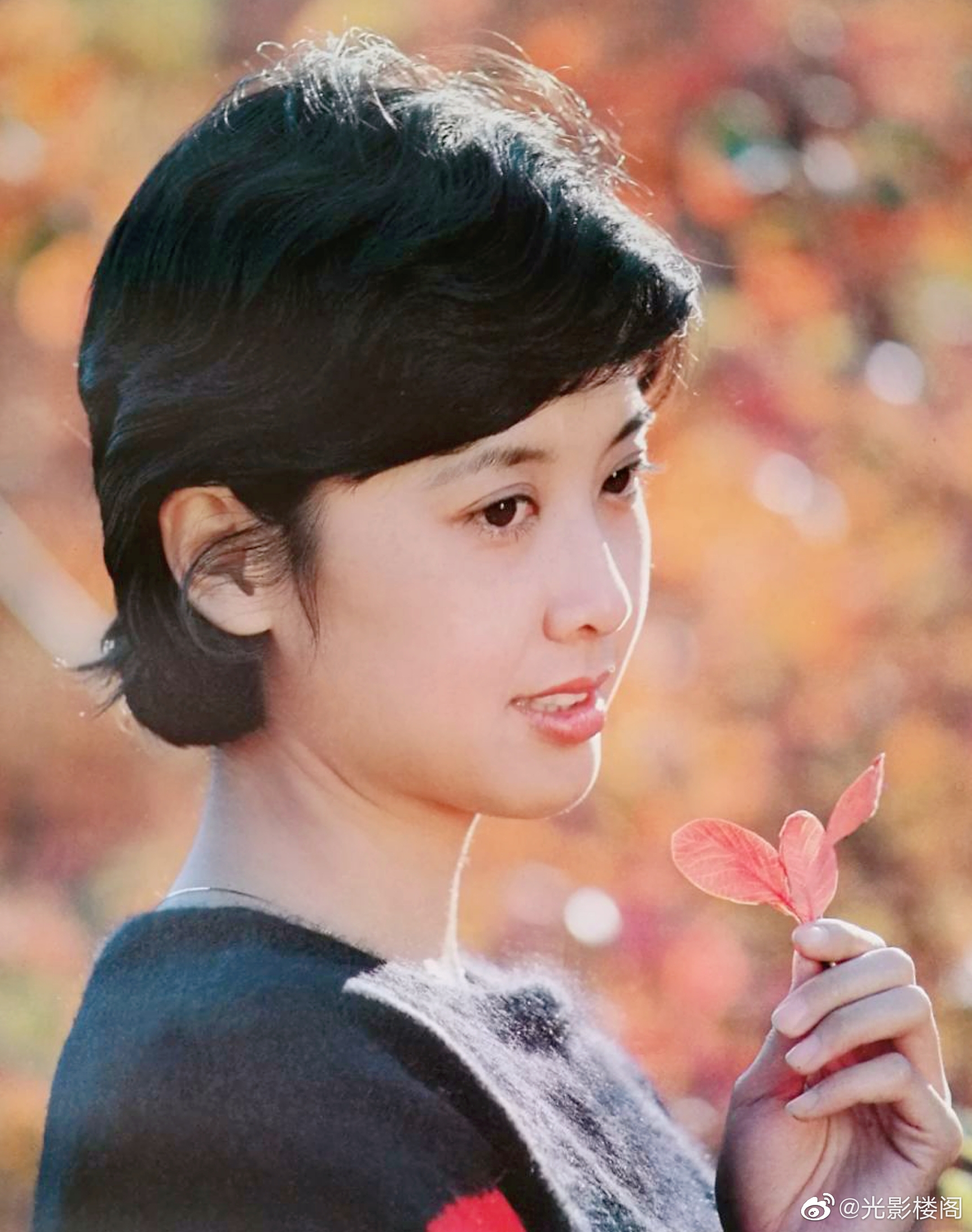 朱琳的写真-https://weibo.com/186...