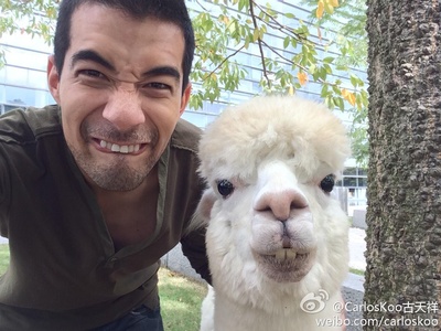 古天祥的写真-哈哈 都好可爱