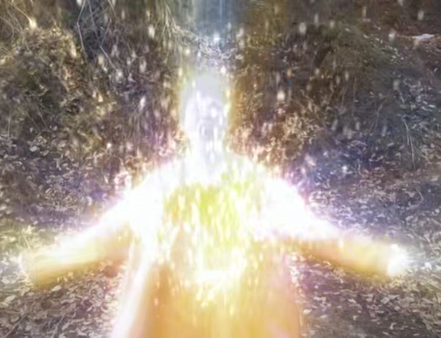 俊藤光利的写真