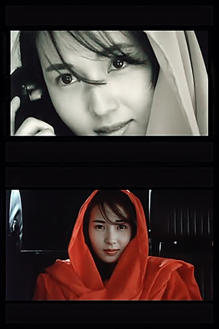 兵藤真子的写真